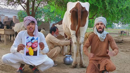 Pakistan Milk Wishes